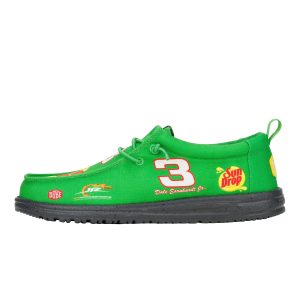 Wally NASCAR Dale Earnhardt JR. – Green/Multi